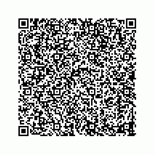 vCard 78335160768
