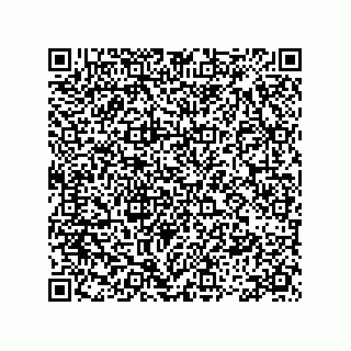 vCard 78335420008