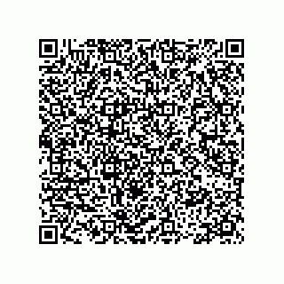 vCard 78335420293