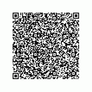 vCard 78335420321