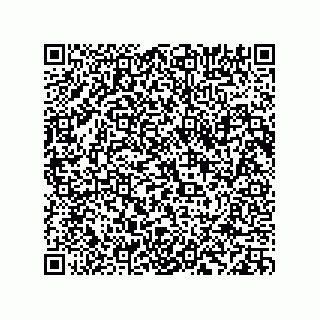 vCard 78335420379