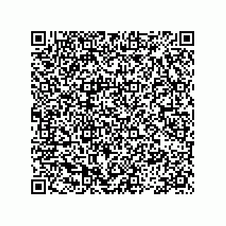 vCard 78335420390