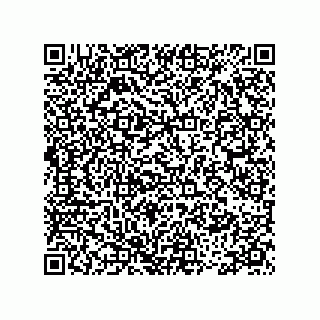 vCard 78335866381