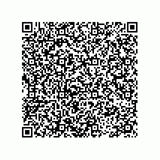 vCard 78335866411