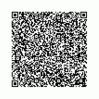 vCard 78336177881