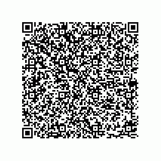 vCard 78336332736