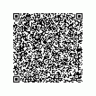 vCard 78336333009
