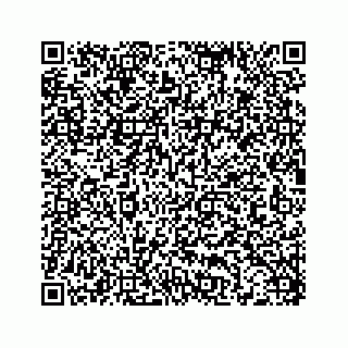 vCard 78343123381