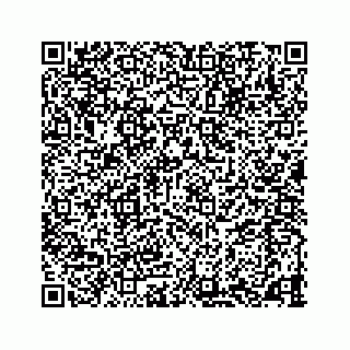 vCard 78343328192