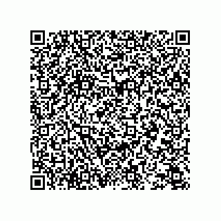 vCard 78343725334
