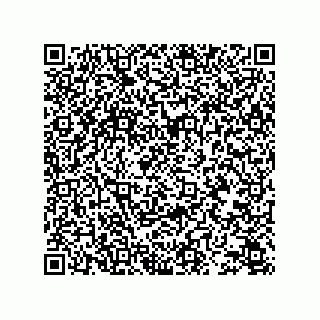 vCard 78343725347