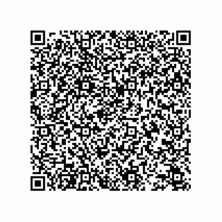 vCard 78345159383