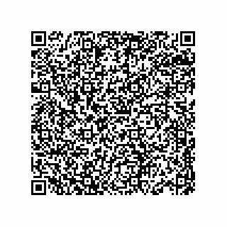 vCard 78345159488