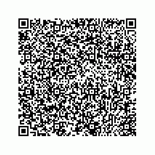 vCard 78345331038