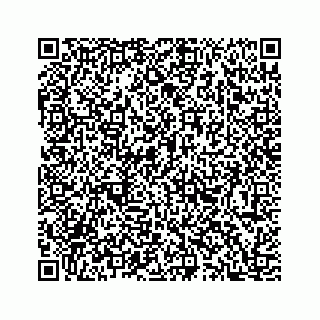 vCard 78353250040