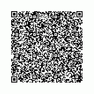 vCard 78353250099