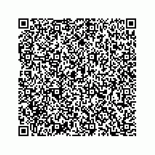 vCard 78353250387