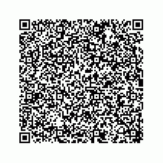 vCard 78353741413