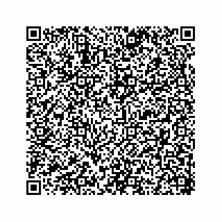 vCard 78353933303