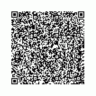 vCard 78354020301