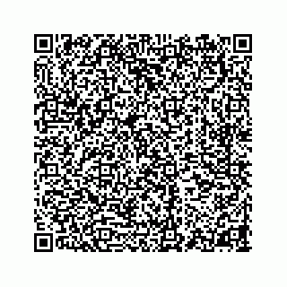 vCard 78354020381
