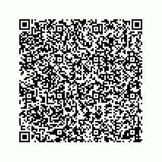 vCard 78362536871