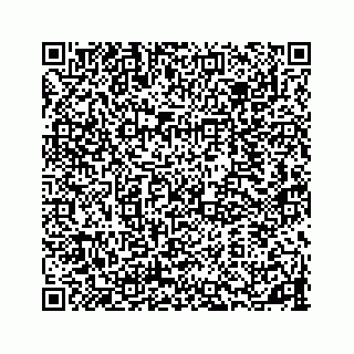 vCard 78363291305