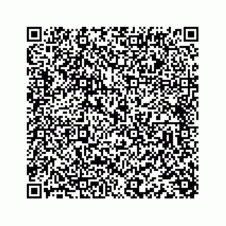 vCard 78363291313