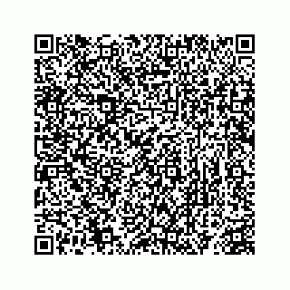 vCard 78363291335