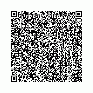 vCard 78363291355