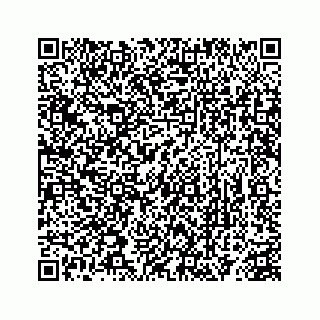 vCard 78363291371