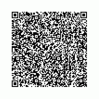 vCard 78363291377