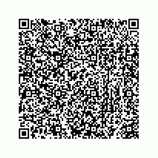 vCard 78363291378
