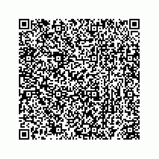 vCard 78363291379