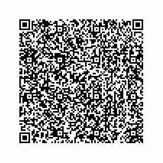 vCard 78363291380