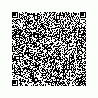 vCard 78363291384