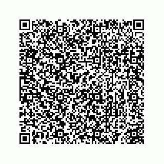 vCard 78363291385