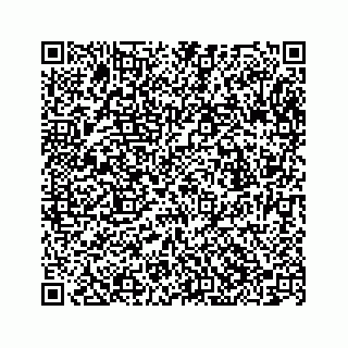 vCard 78363793521