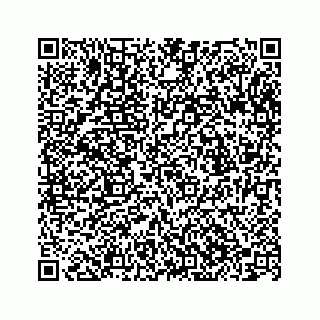 vCard 78363793553