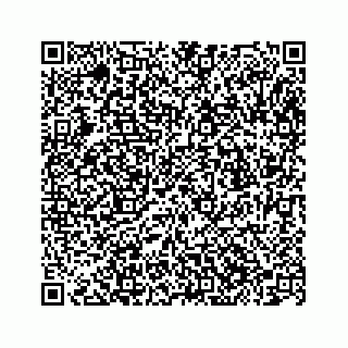 vCard 78363793715