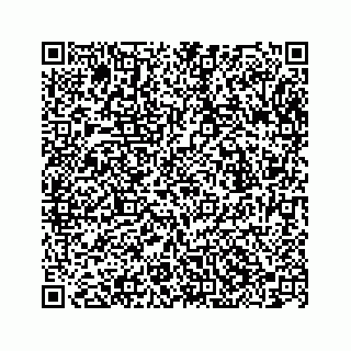 vCard 78363793741