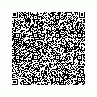 vCard 78363793745