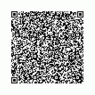 vCard 78363794729