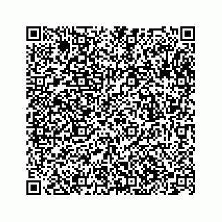vCard 78363794733
