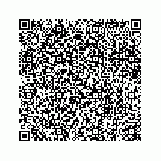 vCard 78414027333