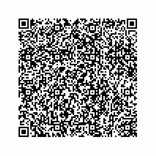 vCard 78414629133