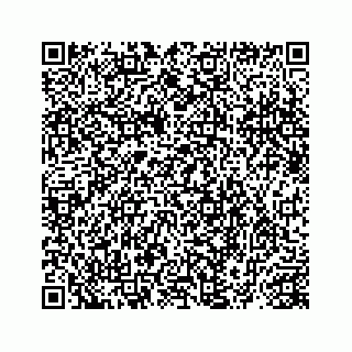 vCard 78414629199
