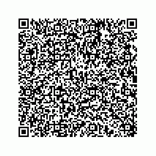 vCard 78414629380