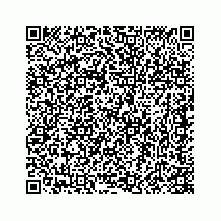vCard 78415440113