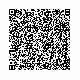 vCard 78415440133